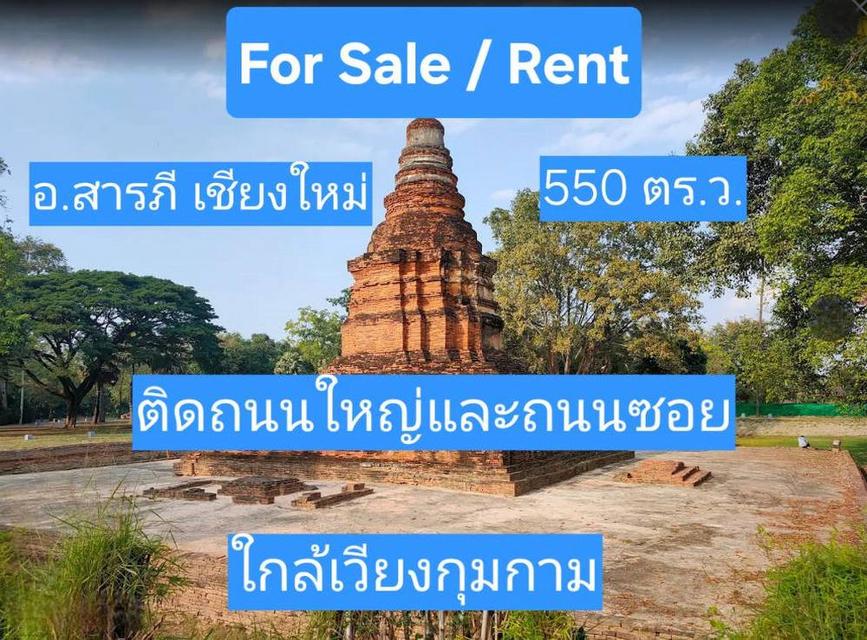 ขาย-เช่า ที่ดินเปล่า ติดถนนใหญ่ เชียงใหม่ อำเภอสารภี 550 ตารางวา 4