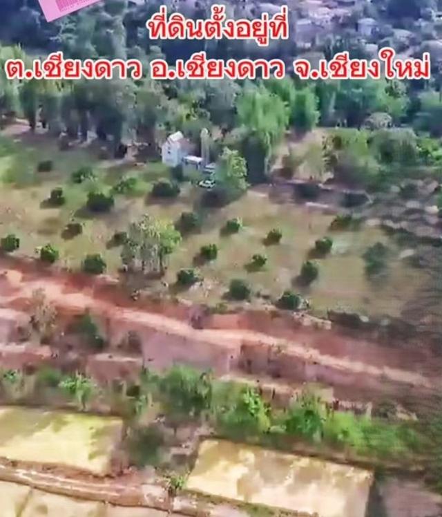 ที่ดินเชียงใหม่ อ.เชียงดาว ต.เชียงดาว 5