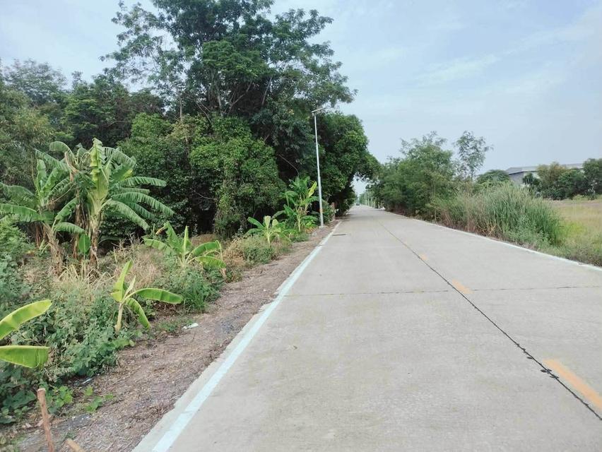 ขายด่วนที่ดิน 452 ตรว ติดถนนคอนกรีตสาธารณะ ถมแล้ว ซ.คลองสาม 12/17 คลองหลวง ปทุมธานี 5