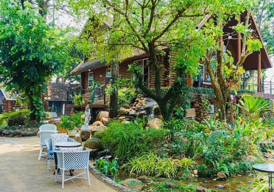 SELLING BUSINESS SMALL RESORT AND RESTAURANT GARDEN  IN CHINAG MAI 1