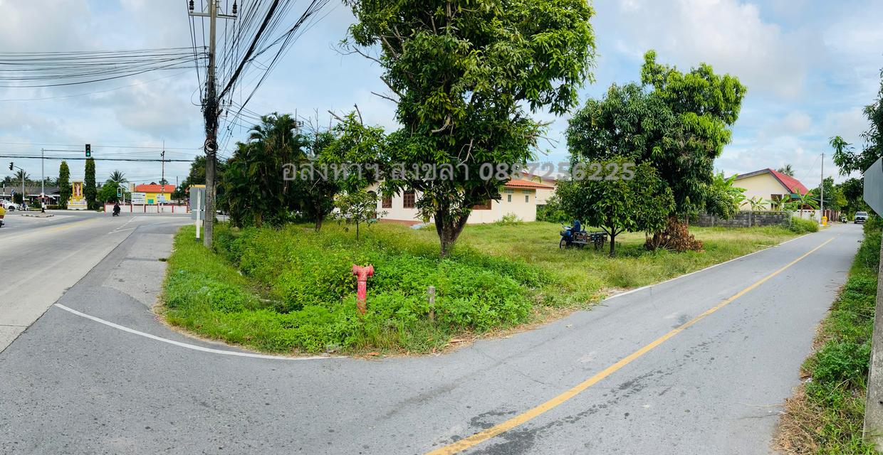 ที่ดินแปลงมุม ทำเลสวย สิงหนคร สงขลา 2 งาน 64.8 ตรว. ติดถนน 3 ด้าน 3