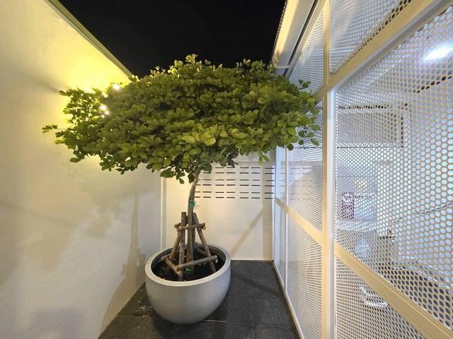 PB5960ให้เช่า ทาวน์เฮาส์ ซอยโชคชัย 4 บ้านรีโนเวทใหม่ พร้อมอยู่ ทำเลดีการเดินทางสะดวก 15