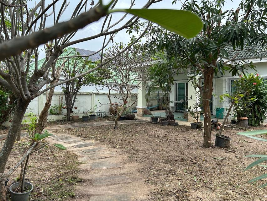 บ้านเดี่ยวหมู่บ้านชาลิตา 2 บางละมุง ชลบุรี เนือ้ที่ 142 ตรว. 3