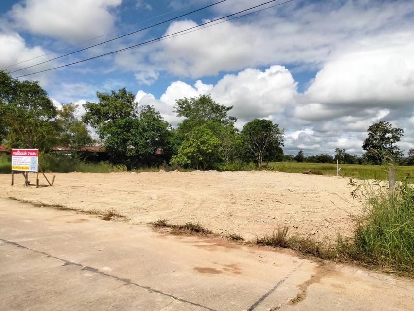 ขายที่ดินสำหรับสร้างบ้าน 2