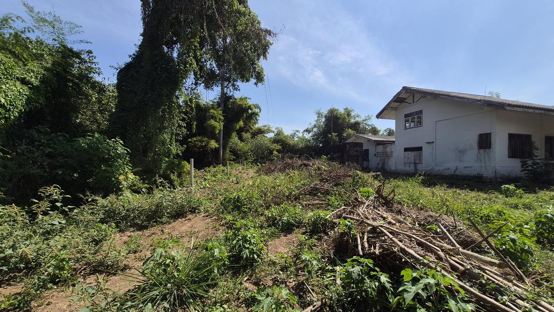 บ้านพร้อมที่ดิน ติดลำตะคลอง ในตัว อ.ปากช่อง 4