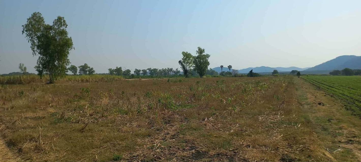 ที่ดินโฉนดจำนวน 7 ไร่ อ.วังม่วง จ.สระบุรี 4