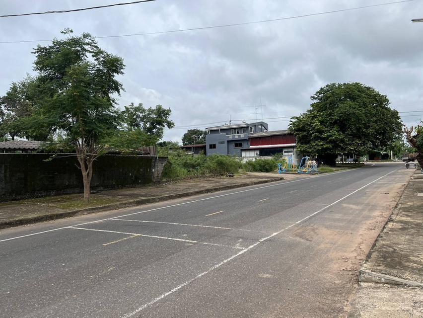 ขายที่โกดังติดถนนหลังเส้นโรงพยาบาลสมเด็จพยุพระราชเลิงนกทา หน้ากว้างติดถนน 32ม.ลึก43 ม.เนื้อที่ทั้งหมด3.617 งาน ห่างโรงพยาบาล 300 เมตร  เขต ทต.เลิงนกทา 7