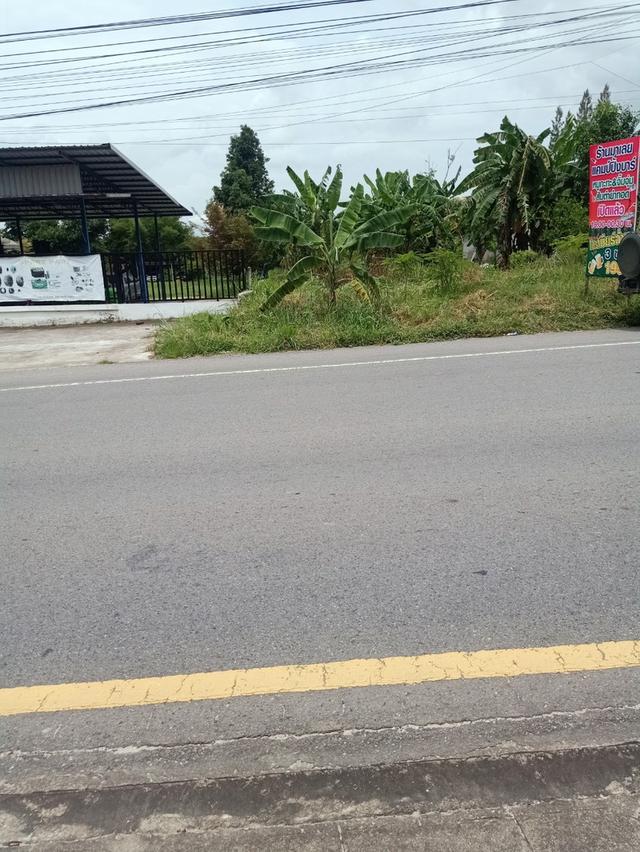 ขายที่ดินเปล่าติดถนน4เลน 9