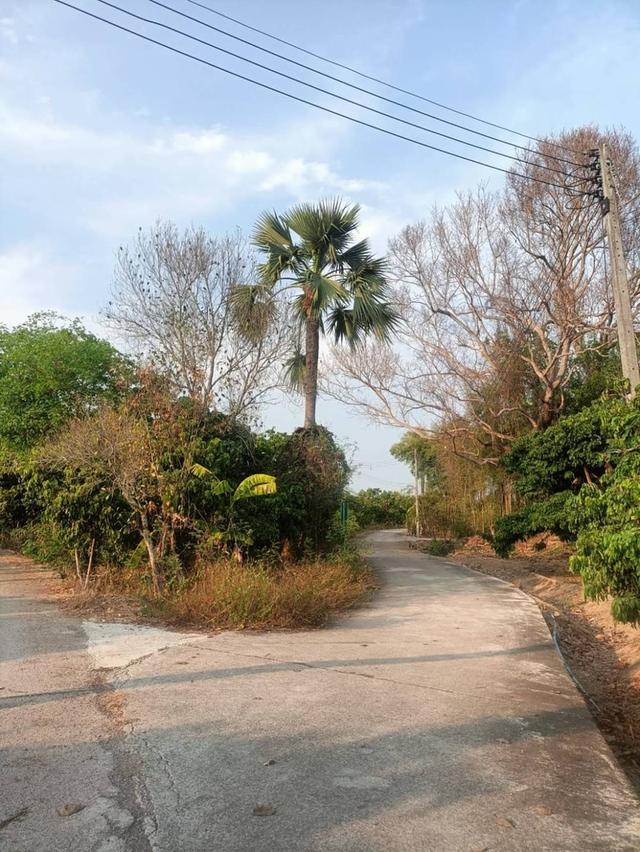 ขายที่ดินโฉนดครุฑแดง (เจ้าของขายเอง) 4