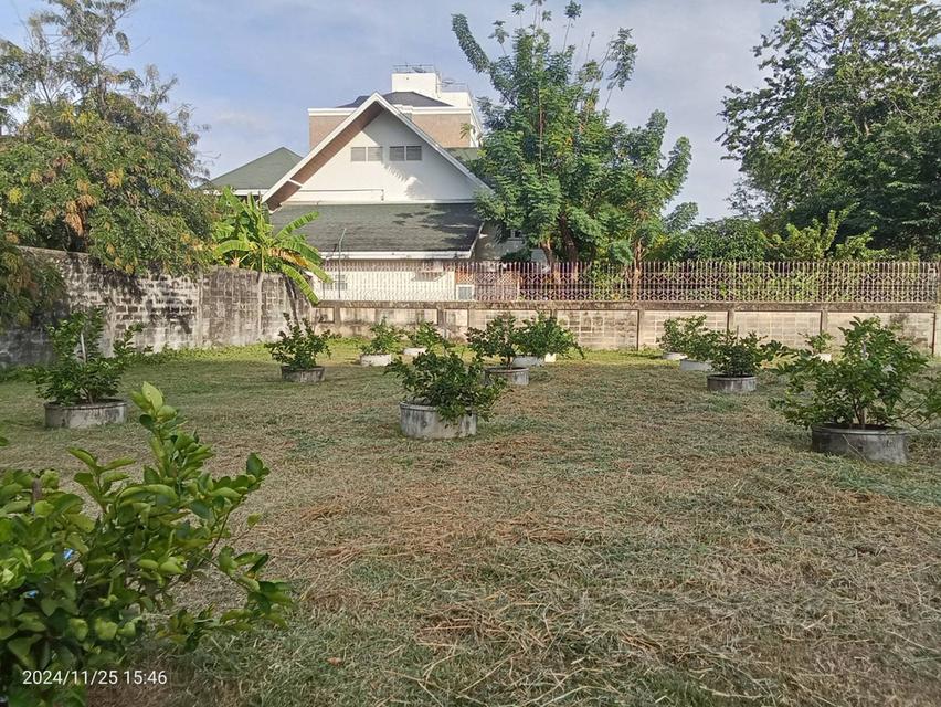 ขายที่ดิน รามคำแหง ซอย 12 พื้นที่ 696 ตารางวา ขายยกแปลงหรือแยกแปลง  ราคาขาย 120,000บาท/ตารางวา 6