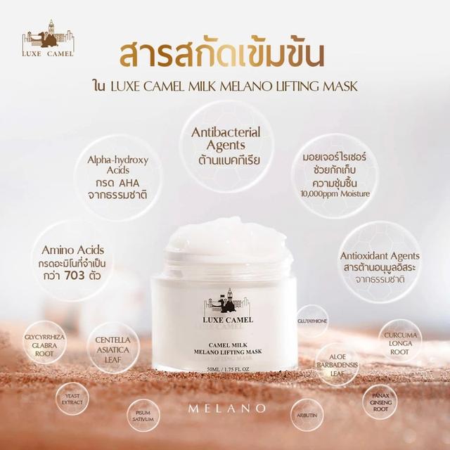 ครีมบำรุงผิวน้ำนมอูฐ 50 กรัม รูปที่ 19