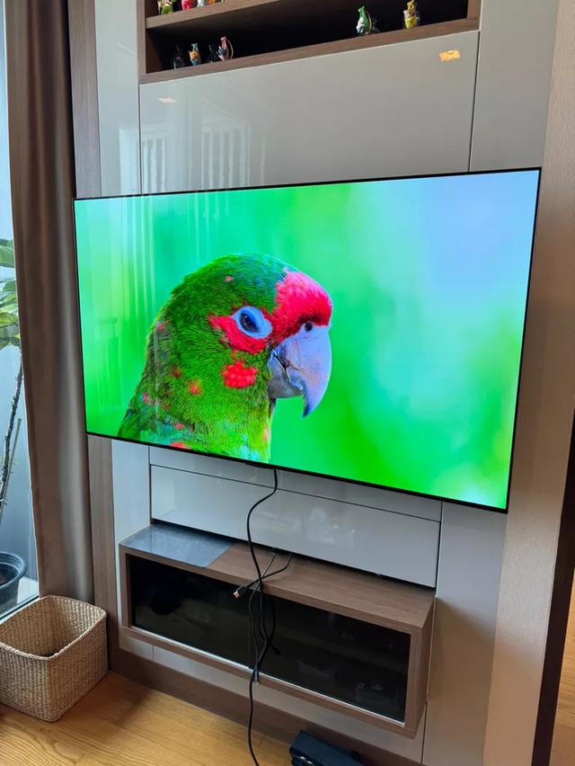 LG OLED ขนาด 48 นิ้ว มือสอง