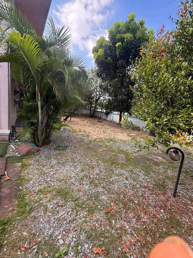 ขายบ้านเดี่ยวหมู่บ้านทองสถิตย์เรียบด่วนรามอินทรา แขวงจระเข้บัวเขตลาดพร้าว กทม. พื้นที่127 ตรว. 6