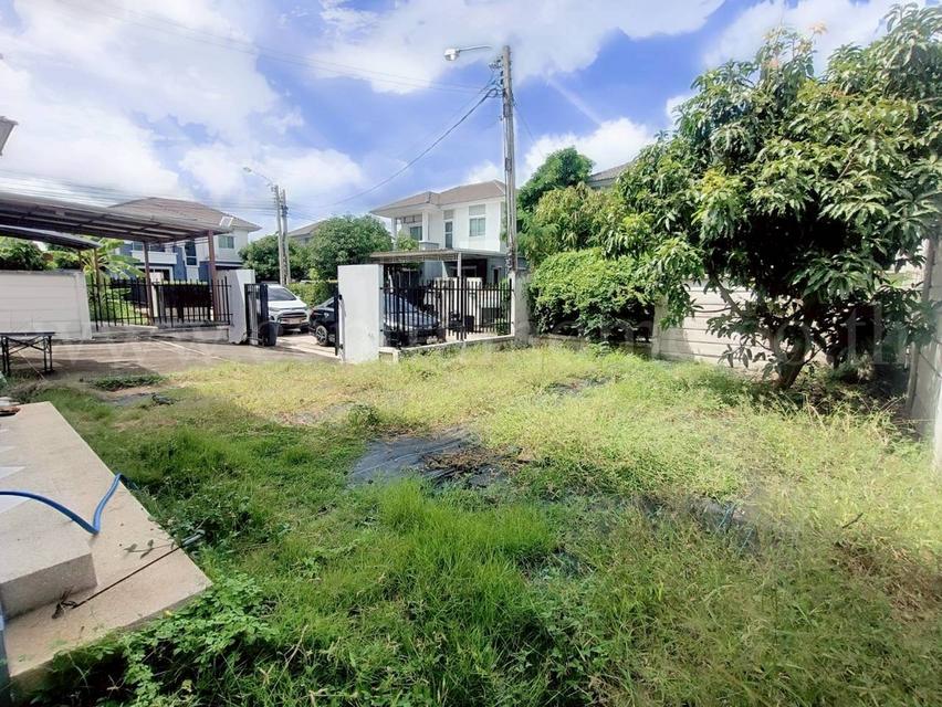 บ้านเดี่ยว พฤกษาวิลเลจ 31 เดอะซีซั่น กาญจนาภิเษก - บางใหญ่ หลังริม 14