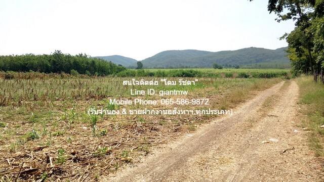 พื้นที่ดิน ที่ดินบ้านโป่งตะขบ อ.วังม่วง จ.สระบุรี 6500000 - ราคาพิเศษ 5