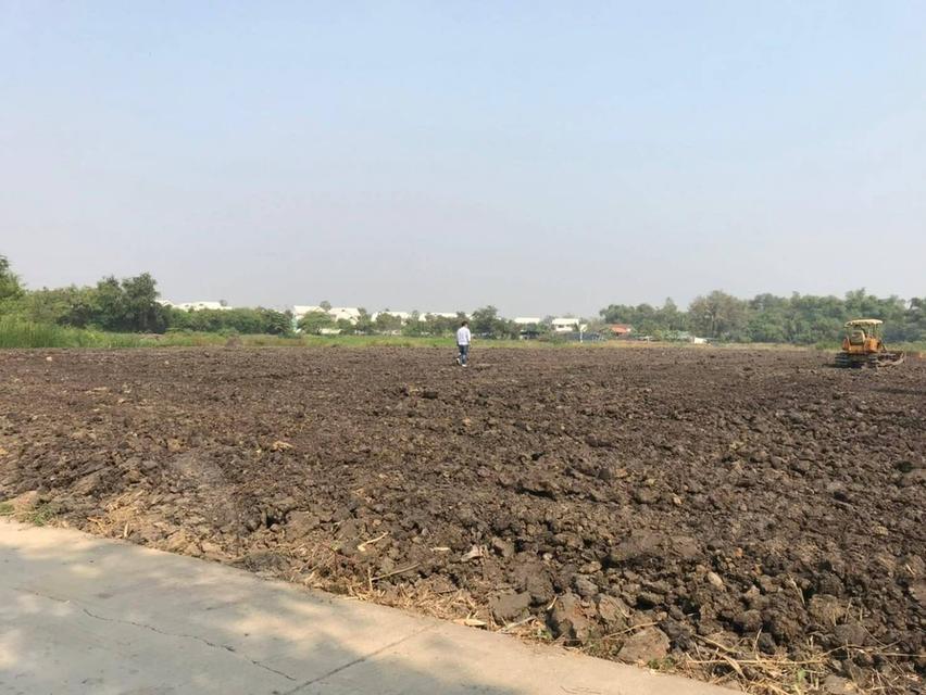 ที่ดินเปล่าถมแล้วราคา 3.5 ล้านบาท 5