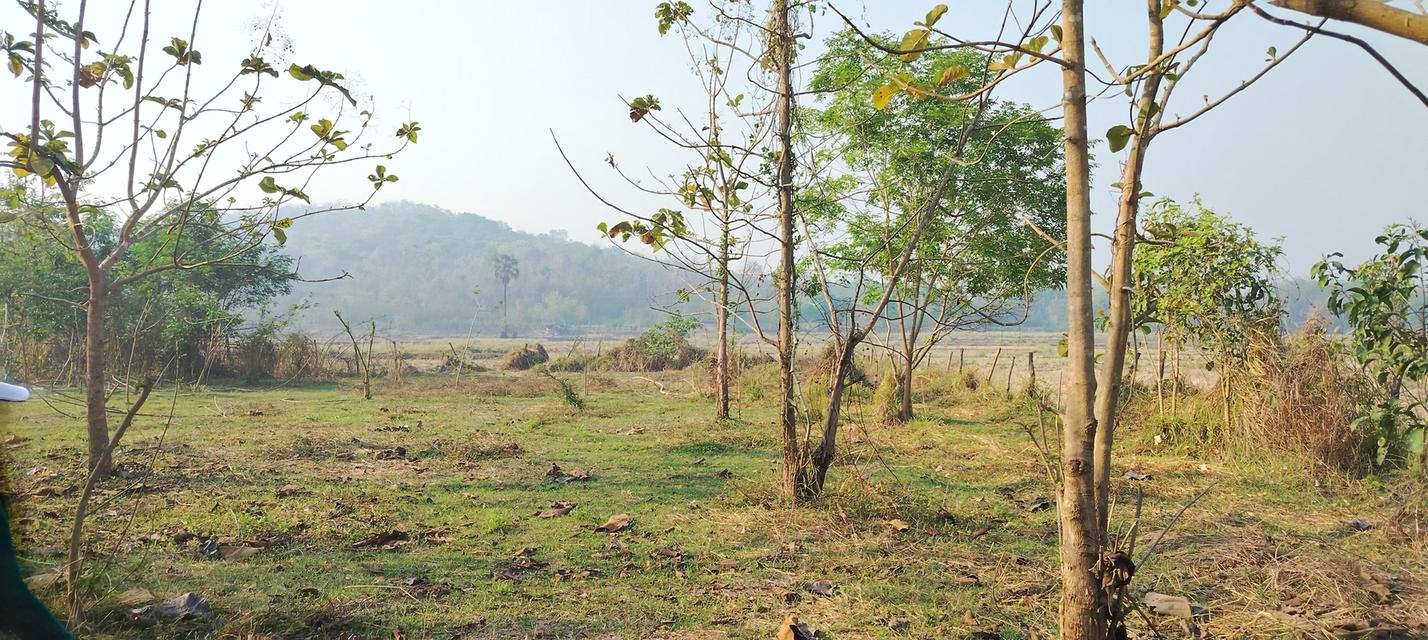 ที่โฉนดวิวเขา ห่าง อบต 1กิโล ที่หน้ากว้างติดถนน80เมตรวิวสวยมากใกล้ชุมชน 3