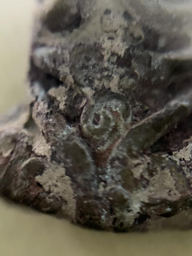 ปิดตายันยุ่ง หลวงปู่เอี่ยม หลวงพ่อทับ 11