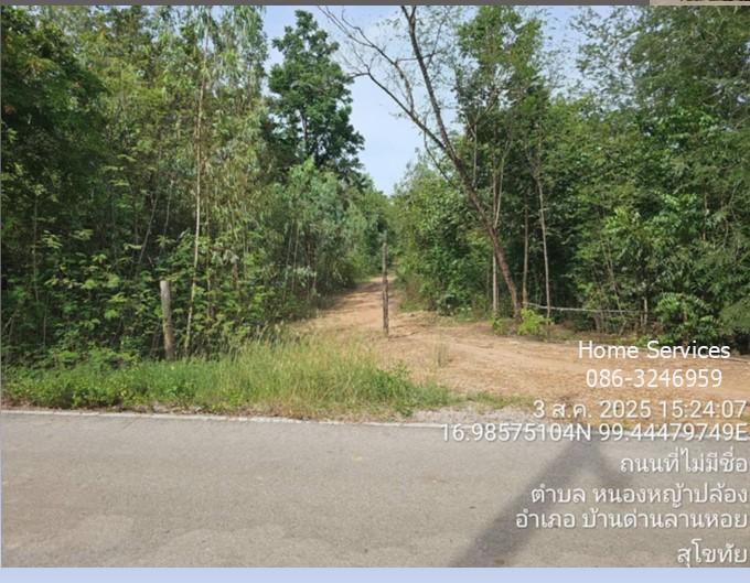 ขายที่ดินพร้อมบ้าน 1 หลัง 320 ไร่ ถ.ตาก-สุโขทัย (ทล.หมายเลข 12) ต.หนองหญ้าปล้อง อ.บ้านด่านลานหอย สุโขทัย ปลูกไม้ยูคา ใกล้รร.หนองหญ้าปล้อง         2