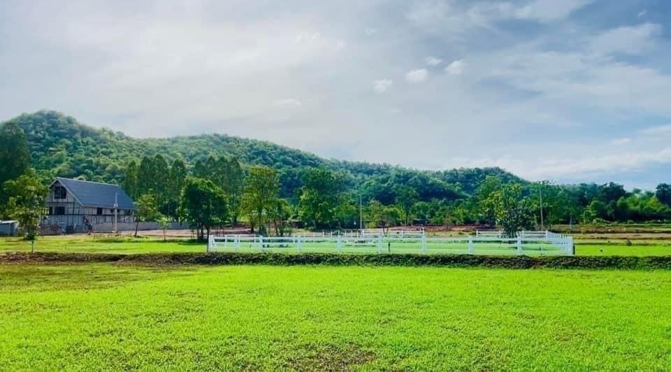 ที่ดิน โพธาราม ราชบุรี 10