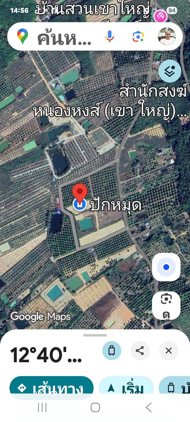 ขายสวนทุเรียน อ.นายายอาม จ.จันทบุรี 7