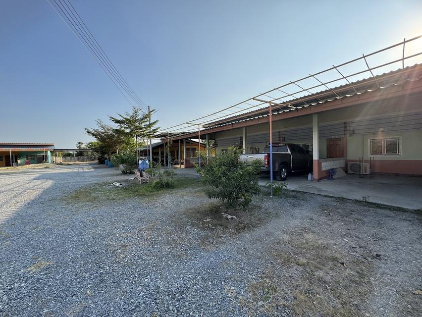 ห้องแถว บ้านเช่า อ.บางแพ จ.ราชบุรี 17