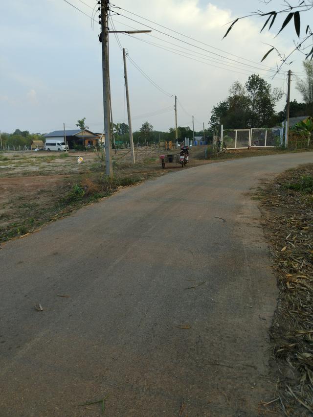 ขายที่ดินลาดกระทิง 3 ไร่ ติดถนนลาดยางติดลำราง ใกล้ถนนเส้น3259-2กม. อ.สนามชัยเขต ฉะเชิงเทรา 4