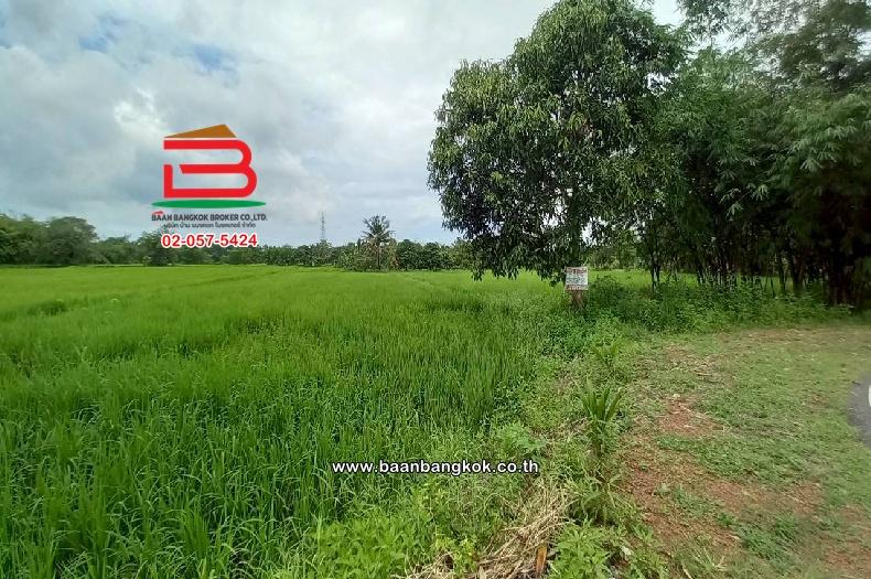 ที่ดินเปล่า บ้านเนินหอม(ม.4) เนื้อที่ 29-0-52 ไร่ ( เทศบาลซอย 12) ตำบลเนินหอม อำเภอเมืองปราจีนบุรี ปราจีนบุรี 6