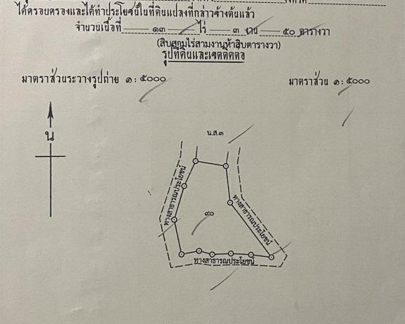 ขายสวนส้ม 13 ไร่ 3 งาน 50 ตรว จ.เชียงใหม่ อ.แม่อาย 2