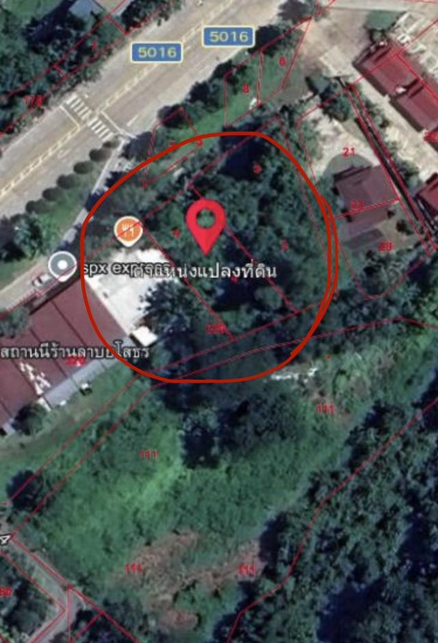 ขายที่ดินทำเลทอง ใจกลางเมืองแม่ฮ่องสอน  ใกล้สนามบิน ติดถนนใหญ่ 5016 ถนนรุ่งเรืองการค้า ขนาด 150 ตารางวา โฉนดครุฑแดง น.ส. 4จ เจ้าของขายเอง 6