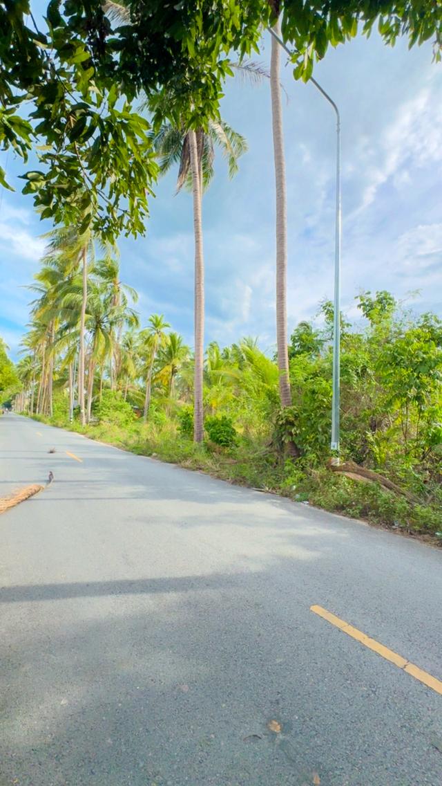 ขายด่วนที่ดินทำเลทอง 3