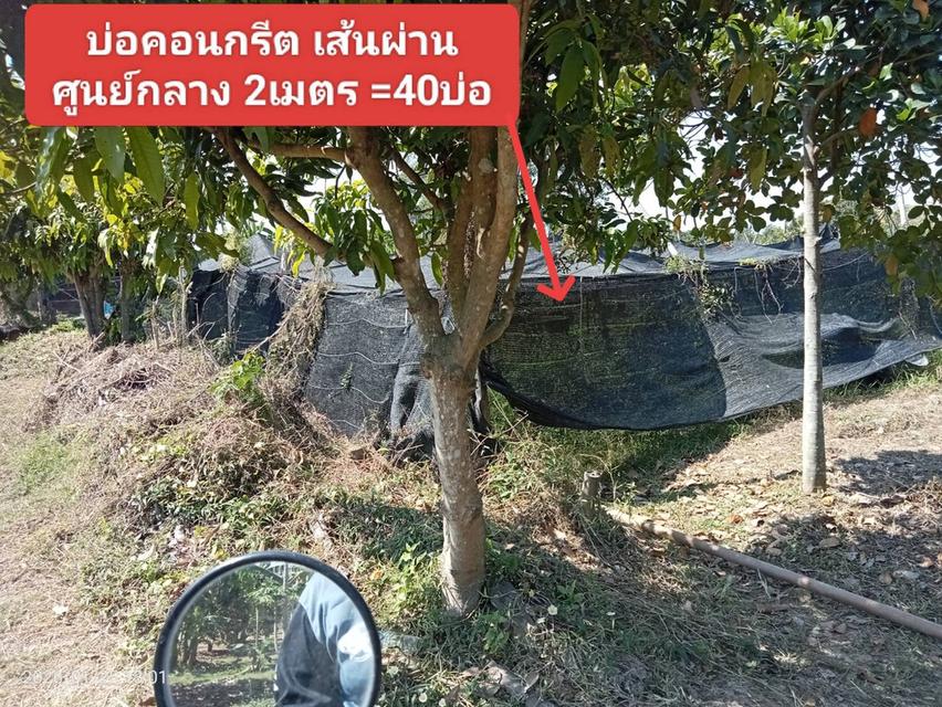ที่ดิน 10 ไร่ ไร่ละ 600,000 บาท อ.เมือง จ.นครสวรรค์ 8