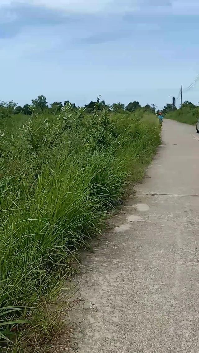 ที่ดินเเปลงสวยเขามะกอก13 พัทยา 8