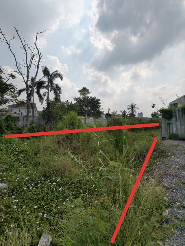 ขายที่ดินเปล่า ไทรม้า นนทบุรี ใกล้แม่น้ำเจ้าพระยา ขายยกแปลง เจ้าของขายเอง 5