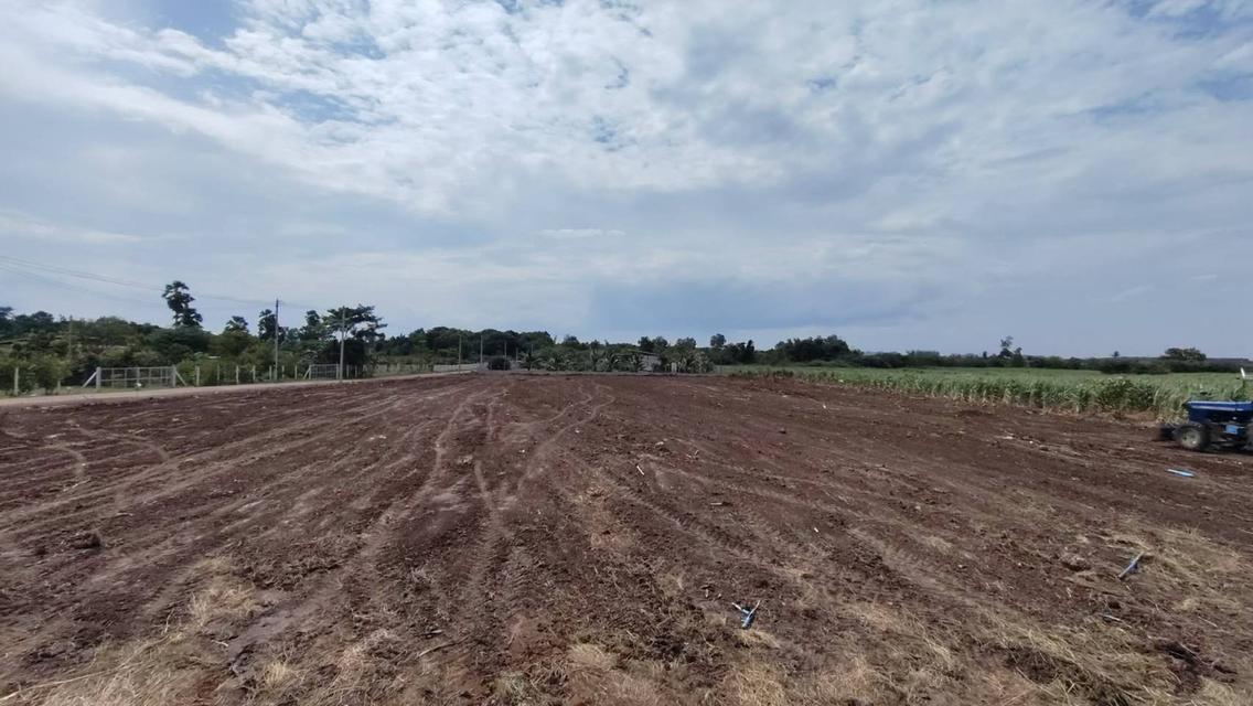 ขายที่ดินโฉนด(สด-ผ่อน) บ้านหนองใยบัว อ.โพธาราม ราชบุรี 300 ตร.วา 600,000 บาท 8