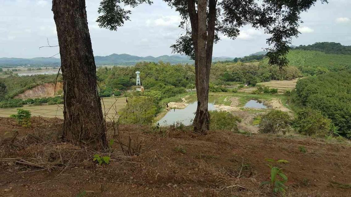 ขายที่ดินแปลงใหญ่ 148 ไร่ เป็นสวนยางพารา ที่มีโฉนด 11