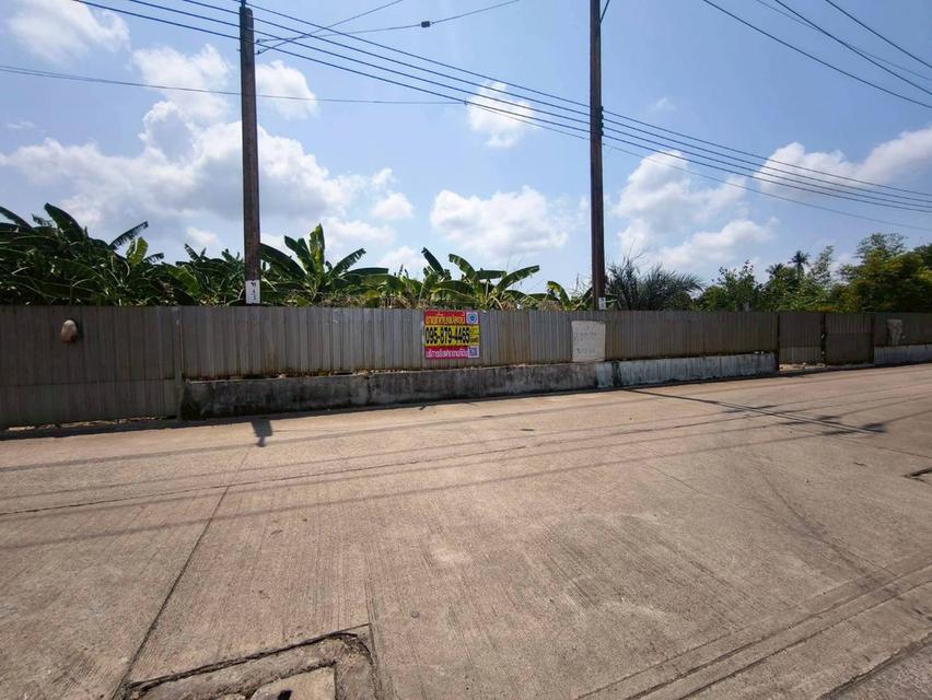ขายด่วนที่ดิน 302 ตรว ติดถนนคอนกรีตสาธารณะ ม.แสนสุขปาร์ค บางบอน 3 ซอย 8 บางบอน กทม. 4