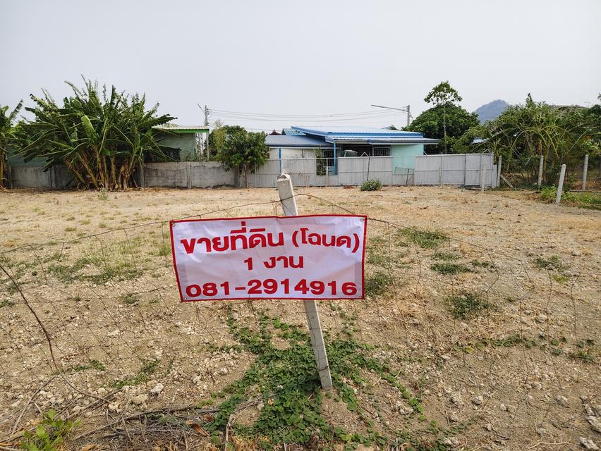 ที่ดิน 1 งาน(โฉนด 2 แปลง) ติดเทศบาลเขาพระงาม อ.เมือง ลพบุรี 2