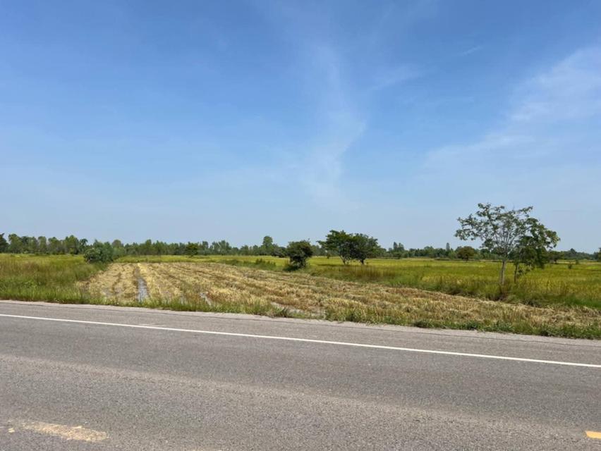 ที่ดินว่างเปล่า มมส มหาสารคาม 3