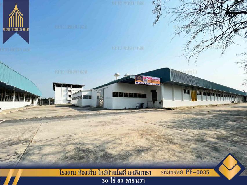 ขาย โรงงาน โรงงาน ห้องเย็น ใกล้บ้านโพธิ์ ฉะเชิงเทรา  9500 ตรม 30 ไร่ 89 ตรว 1