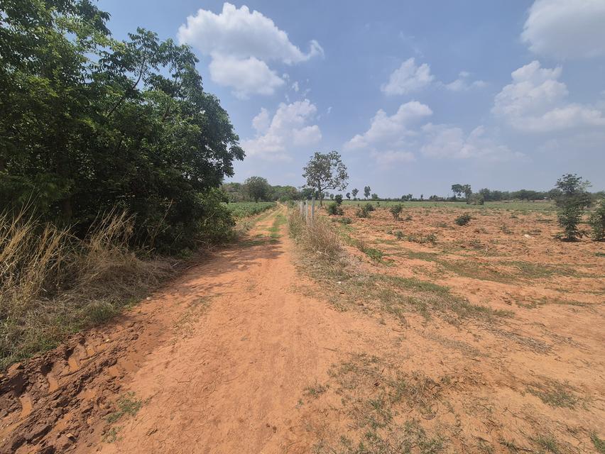 ขายที่ดิน 83 ไร่ ไร่ละ150,000 บาทต.พังเทียม อ.พระทองคำ จ.นครราชสีมา ที่ดินแปลงใหญ่ ทำเลดี เหมาะทำเกษตร รีสอร์ต หรือเก็งกำไรในอนาคต ✅ สามารถแบ่งขายได้ 10