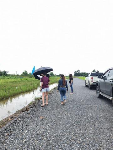 แบ่งแปลงที่ดินขาย คลอง11 หนองเสือ 100 ตรว. ใกล้ชุมชน สงบ ร่มรื่น เหมาะทำบ้านสวน 5