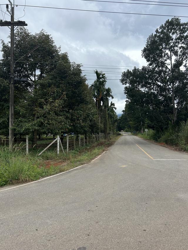 ขายสวนทุเรียน ชำฆ้อ หมู่5 เขาชะเมา 5