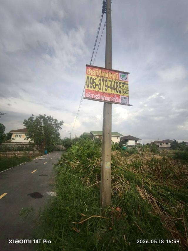 ขายด่วนที่ดิน 176 ตรว ติดถนนลาดยาง ซ.ร่วมสุข 3/6 เมืองปทุมธานี ปทุมธานี 2