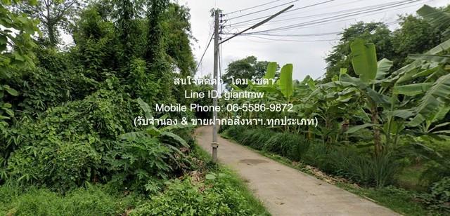 ขายที่ดินเปล่า 2-0-64.1 ไร่ ท่าโพธิ์ จ.พิษณุโลก ราคา 1.60 ล้านบาท 6