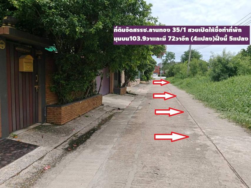 ขายที่ดินจัดสรรม.ลานทองแปลงสวยสุด 103.9 ตรวา มุม ลานทอง 35/1 หายาก (ไม่มีแล้ว)สร้างบ้าน ม.ลานทอง ติวานนท์-ปากเกร็ด25 หมู่บ้านดี โซนบ้านเดี่ยว หาออกยาก 5