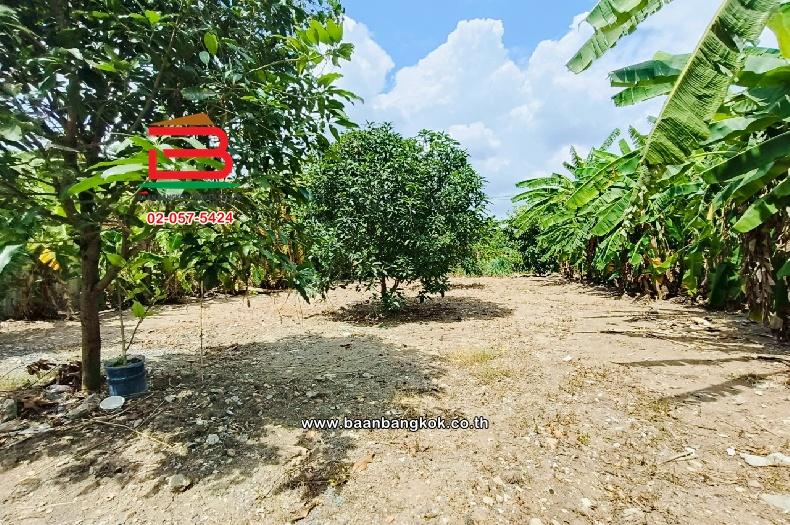 ขาย/เช่า ที่ดินเปล่า เลี่ยงเมืองปากเกร็ด 41 เนื้อที่ 149 ตร.ว (ใกล้โรงเรียนชลประทานวิทยา) ตำบลบางตลาด อำเภอปากเกร็ด จังหวัดนนทบุรี 6