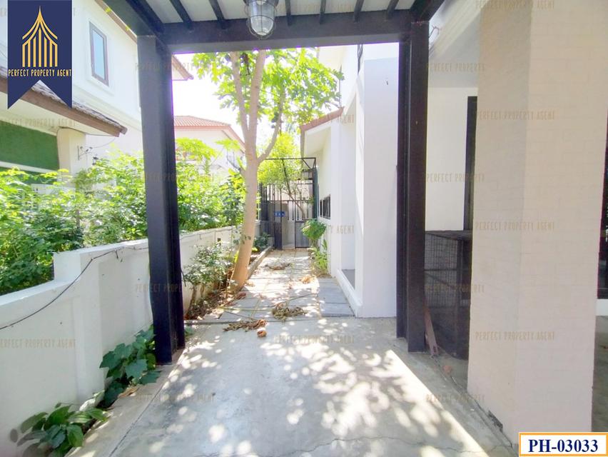 ขาย บ้านเดี่ยว หลังมุม เค.ซี. เนเชอรัลวิลล์ บางนา-เทพารักษ์ สมุทรปราการ 324 ตรม 84.3 ตรว 19