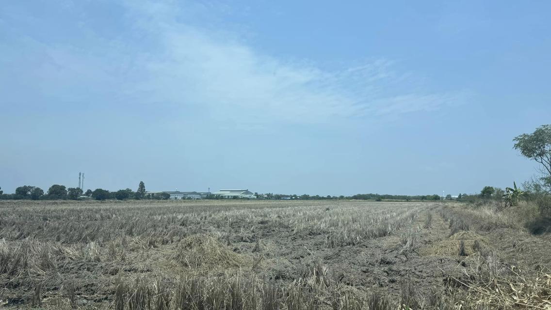 ขาย/เช่าที่ดินฉะเชิงเทรา 45 ไร่ 3