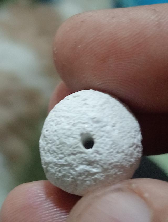 ลูกอมหลวงปู่ดู่ วัดสะแก 6